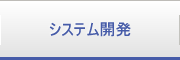 システム開発