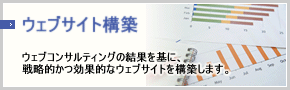 ウェブサイト構築